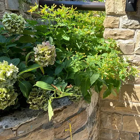 Emma アパート ピラン