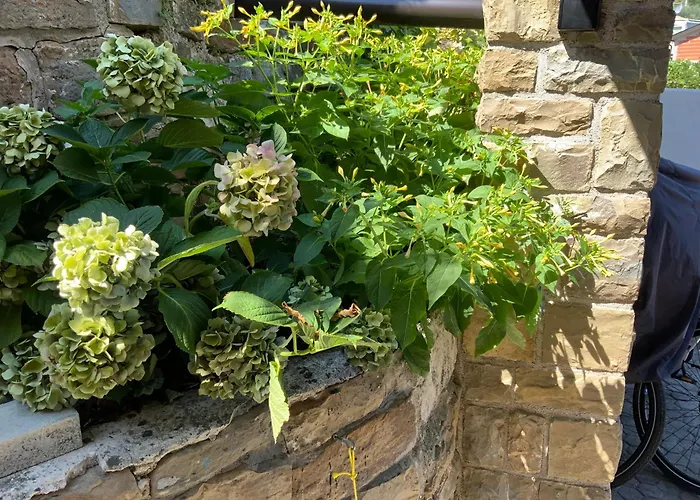 Emma アパート ピラン